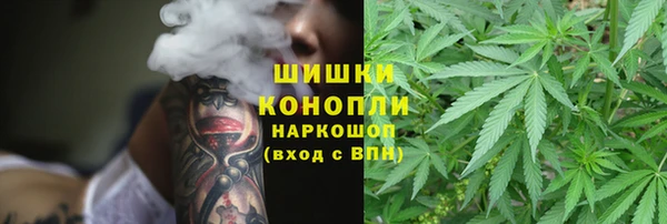 винт Гусь-Хрустальный