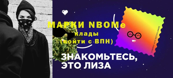 гидропоника Гусиноозёрск