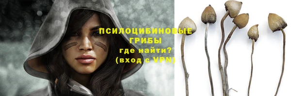 мяу мяу кристалл Гусев