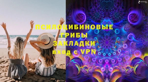 винт Гусь-Хрустальный