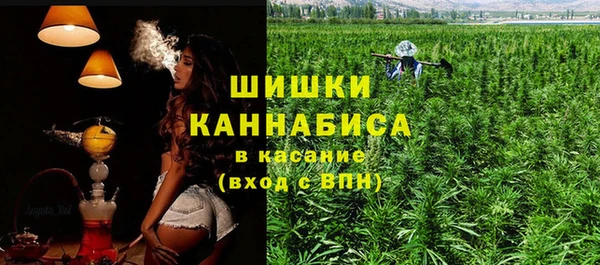гидропоника Гусиноозёрск