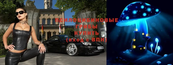 винт Гусь-Хрустальный